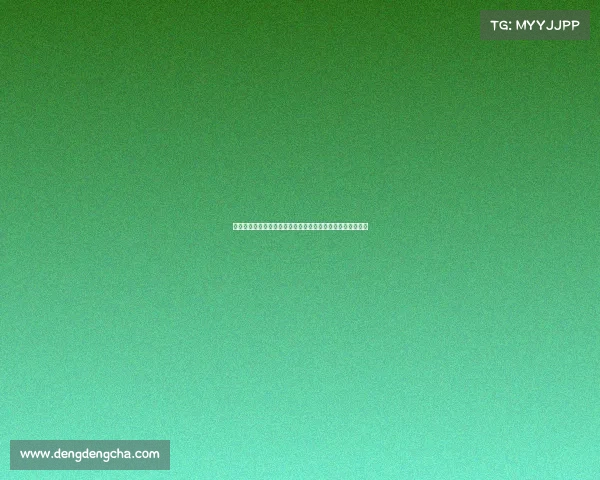 阿什拉夫连续四场世俱杯参与进球状态火热助力球队冲击冠军